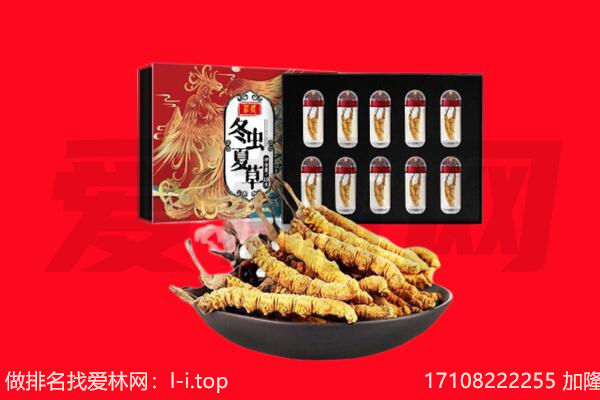 重庆大渡口区回收虫草.jpg